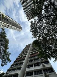 Spottiswoode Park (D2), Apartment #446653471